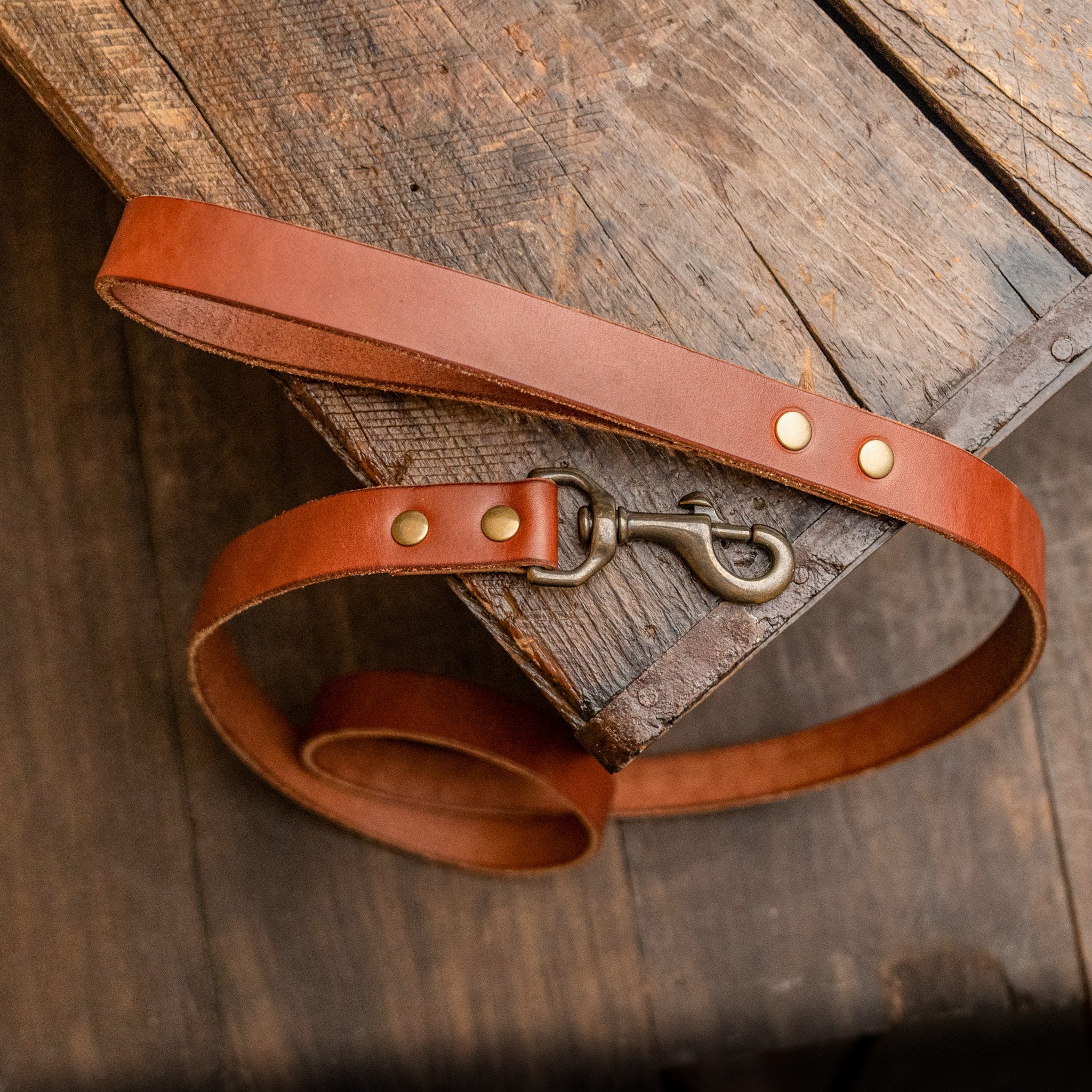 Rover Leash Ready to Ship – Tale Of Knives - Main Image