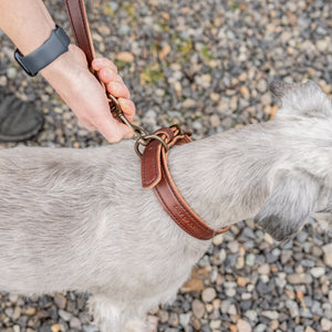 Max 2.0 Leash