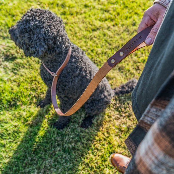 Slip Leash